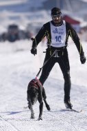 Lenk 2013